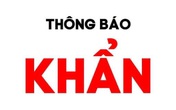 Thông báo khẩn tìm người đi trên chuyến bay VN 1274 ngày 15/6 Thông báo khẩn tìm người đi trên chuyến bay VN 1274 ngày 15/6