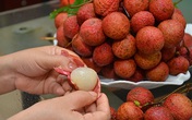 Mùa mận, vải, nhãn, mít tràn ngập, bà bầu có nên ăn? Mùa mận, vải, nhãn, mít tràn ngập, bà bầu có nên ăn?