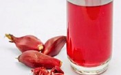 Công dụng tuyệt vời của loại sâm rẻ tiền, chữa được nhiều bệnh và mọc khắp nơi Công dụng tuyệt vời của loại sâm rẻ tiền, chữa được nhiều bệnh và mọc khắp nơi