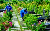 Có một nghề nghe tên đã rờn rợn, ngày ngày phải đi lại giữa nghĩa trang Có một nghề nghe tên đã rờn rợn, ngày ngày phải đi lại giữa nghĩa trang