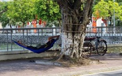 Quê hương Trạng Trình ngày đầu giãn cách xã hội Quê hương Trạng Trình ngày đầu giãn cách xã hội