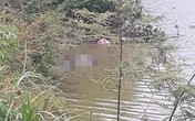 Kinh hãi phát hiện thi thể đeo đèn pin nổi trên mặt nước Kinh hãi phát hiện thi thể đeo đèn pin nổi trên mặt nước