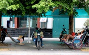 Người dân Huế nhọc nhằn mưu sinh giữa cái nắng như thiêu Người dân Huế nhọc nhằn mưu sinh giữa cái nắng như thiêu