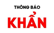 Thanh Hóa phát thông báo khẩn tìm người trên chuyến bay VN1262