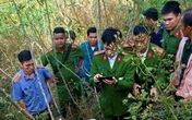 Vác súng bắn khỉ nhưng lại làm chết người Vác súng bắn khỉ nhưng lại làm chết người