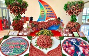 Vải thiều Bắc Giang tiêu thụ trên sàn Postmart.vn đều đạt tiêu chuẩn VietGAP Vải thiều Bắc Giang tiêu thụ trên sàn Postmart.vn đều đạt tiêu chuẩn VietGAP
