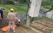 Cắt trộm dây cáp điện, bị điện phóng ngã xuống đất tử vong Cắt trộm dây cáp điện, bị điện phóng ngã xuống đất tử vong
