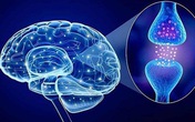 Sản phẩm thảo dược giúp cải thiện rối loạn thần kinh thực vật: Hướng đi mới được nhiều người lựa chọn Sản phẩm thảo dược giúp cải thiện rối loạn thần kinh thực vật: Hướng đi mới được nhiều người lựa chọn