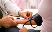 Kiểm soát tăng huyết áp vô căn bằng sản phẩm thảo dược Kiểm soát tăng huyết áp vô căn bằng sản phẩm thảo dược