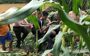 Đại úy công an kể lại phút lao vào nước lũ cứu người Đại úy công an kể lại phút lao vào nước lũ cứu người