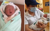 Bé trai sơ sinh bị bỏ trong đồi keo Bé trai sơ sinh bị bỏ trong đồi keo