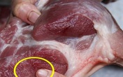Thịt lợn có 4 dấu hiệu này dù rẻ mấy cũng đừng mua Thịt lợn có 4 dấu hiệu này dù rẻ mấy cũng đừng mua