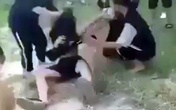 Nữ sinh bị bạn đánh hội đồng, lột áo giữa ban ngày Nữ sinh bị bạn đánh hội đồng, lột áo giữa ban ngày