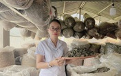 Người lưu giữ và bảo tồn các bài thuốc Nam cổ phương của dân tộc Người lưu giữ và bảo tồn các bài thuốc Nam cổ phương của dân tộc