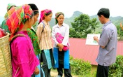 Chuyển biến tích cực trong giảm thiểu tình trạng tảo hôn và hôn nhân cận huyết ở Hà Giang Chuyển biến tích cực trong giảm thiểu tình trạng tảo hôn và hôn nhân cận huyết ở Hà Giang