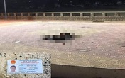 Điều tra vụ thi thể cháy đen ở công viên bãi trước Vũng Tàu Điều tra vụ thi thể cháy đen ở công viên bãi trước Vũng Tàu