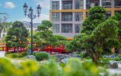 Khám phá một “Nhật Bản thu nhỏ” tại Vinhomes Ocean Park và triết lý Zen giữa đô thị Khám phá một “Nhật Bản thu nhỏ” tại Vinhomes Ocean Park và triết lý Zen giữa đô thị