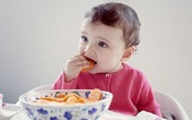Men sống là gì? Hiệu quả ra sao và sử dụng như thế nào? Men sống là gì? Hiệu quả ra sao và sử dụng như thế nào?