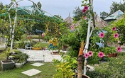 Vợ chồng biến 500m2 đất cằn thành khu vườn xanh mướt chỉ với 10 triệu đồng Vợ chồng biến 500m2 đất cằn thành khu vườn xanh mướt chỉ với 10 triệu đồng