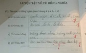 Viết tên Đen Vâu trong bài tập, học sinh bị cô đánh sai, biết nội dung câu hỏi ai cũng tức Viết tên Đen Vâu trong bài tập, học sinh bị cô đánh sai, biết nội dung câu hỏi ai cũng tức