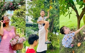 Thích mê hoạt động của nhóc tỳ nhà Ốc Thanh Vân trong những ngày giãn cách Thích mê hoạt động của nhóc tỳ nhà Ốc Thanh Vân trong những ngày giãn cách