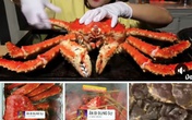 Dịch COVID-19, các nhà hàng đóng cửa, tôm hùm, cua hoàng đế, bào ngư ế chưa từng có, dù rất nhộn nhịp trên chợ mạng Dịch COVID-19, các nhà hàng đóng cửa, tôm hùm, cua hoàng đế, bào ngư ế chưa từng có, dù rất nhộn nhịp trên chợ mạng