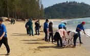 Tổ chức ăn nhậu bên bờ biển bất chấp lệnh cấm, 11 thanh niên bị phạt 165 triệu đồng Tổ chức ăn nhậu bên bờ biển bất chấp lệnh cấm, 11 thanh niên bị phạt 165 triệu đồng