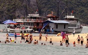 Từ 12h trưa nay, hàng loạt hoạt động ở Quảng Ninh phải tạm dừng Từ 12h trưa nay, hàng loạt hoạt động ở Quảng Ninh phải tạm dừng