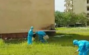Đánh bài trong khu cách ly, nhóm thanh niên phải mặc đồ bảo hộ đi nhặt rác Đánh bài trong khu cách ly, nhóm thanh niên phải mặc đồ bảo hộ đi nhặt rác