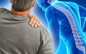 Đẩy lùi cơn đau mạn tính, kéo dài nhờ sản phẩm giảm đau thảo dược - Xu hướng giảm đau mới hiện nay Đẩy lùi cơn đau mạn tính, kéo dài nhờ sản phẩm giảm đau thảo dược - Xu hướng giảm đau mới hiện nay