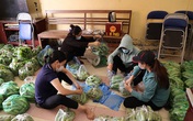 Tổ phản ứng nhanh ở thôn, xã lập nhóm cùng nhau 'giải cứu' Tổ phản ứng nhanh ở thôn, xã lập nhóm cùng nhau 'giải cứu'