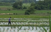 Tìm thấy thi thể bé trai 7 tuổi sau 2 ngày mất tích Tìm thấy thi thể bé trai 7 tuổi sau 2 ngày mất tích