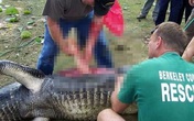 Bắt được cá sấu "khủng" nặng hơn 2 tạ, cảnh sát mổ bụng phát hiện cảnh ám ảnh Bắt được cá sấu "khủng" nặng hơn 2 tạ, cảnh sát mổ bụng phát hiện cảnh ám ảnh