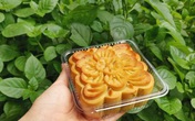 Thất nghiệp dài ngày, bà nội trợ Hà Nội tính khởi nghiệp với 3 triệu đồng Thất nghiệp dài ngày, bà nội trợ Hà Nội tính khởi nghiệp với 3 triệu đồng