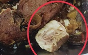 Hải Phòng: Thực hư vụ suất ăn ca của công nhân có vật lạ như sán? Hải Phòng: Thực hư vụ suất ăn ca của công nhân có vật lạ như sán?