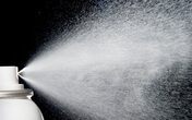Những cách để ngôi nhà của bạn không có muỗi Những cách để ngôi nhà của bạn không có muỗi
