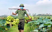 Ba ngày lội bùn hái 18.000 bông hoa, công an giải cứu đầm sen 20 mẫu Ba ngày lội bùn hái 18.000 bông hoa, công an giải cứu đầm sen 20 mẫu