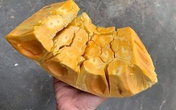 Mít Thái giảm giá vì ngừng xuất khẩu, người trồng "khóc" vì chỉ đủ tiền phân bón Mít Thái giảm giá vì ngừng xuất khẩu, người trồng "khóc" vì chỉ đủ tiền phân bón