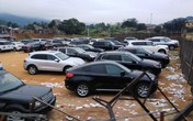 Tạm giữ nhiều ô tô siêu sang ở Móng Cái Tạm giữ nhiều ô tô siêu sang ở Móng Cái