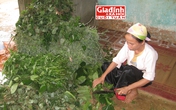 Những kiểu "chém gió thành thần" của "thần y" tự nhận chữa khỏi ung thư nhờ bài thuốc của… người âm truyền dạy Những kiểu "chém gió thành thần" của "thần y" tự nhận chữa khỏi ung thư nhờ bài thuốc của… người âm truyền dạy