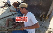 Chuyện về người đàn ông có “tai thần” biết “nghe” cá nói chuyện để giúp người đi biển Chuyện về người đàn ông có “tai thần” biết “nghe” cá nói chuyện để giúp người đi biển