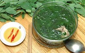 Đánh thức khả năng tình dục của người già bằng rau ngót Đánh thức khả năng tình dục của người già bằng rau ngót