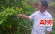 Gặp lương y sở hữu bài thuốc trị bệnh gan độc đáo ở Hà Giang Gặp lương y sở hữu bài thuốc trị bệnh gan độc đáo ở Hà Giang