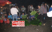 Độc đáo nghề hái lá cây để trang điểm cho hoa quả Độc đáo nghề hái lá cây để trang điểm cho hoa quả