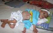 Hình ảnh bé Hứa Văn Dũng yên nghỉ nơi quê nhà Hình ảnh bé Hứa Văn Dũng yên nghỉ nơi quê nhà