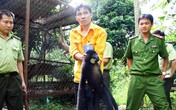 Đẳng cấp “chẳng sợ ai”! Đẳng cấp “chẳng sợ ai”!