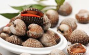 Mẹo chọn ngao, sò, ốc ngon Mẹo chọn ngao, sò, ốc ngon