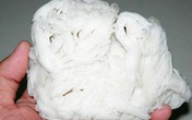 Phát hiện thêm bún, phở chứa chất tẩy gỉ sét Phát hiện thêm bún, phở chứa chất tẩy gỉ sét