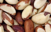 10 thực phẩm đốt mỡ thần tốc 10 thực phẩm đốt mỡ thần tốc