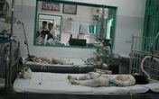 Vụ thiêu sống cả nhà: Ông nội của hai cháu bé đã tử vong Vụ thiêu sống cả nhà: Ông nội của hai cháu bé đã tử vong